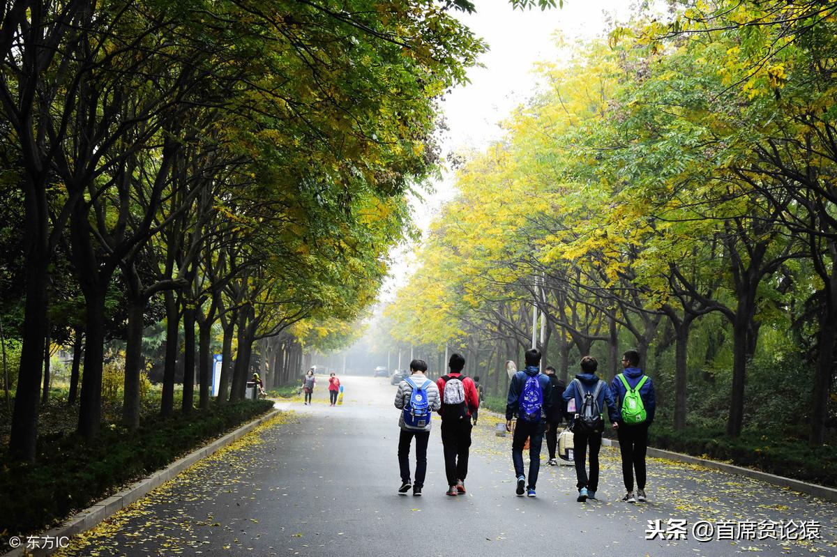 全国最新一手数据揭秘，中国发展的活力与脉搏