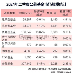 2024年新奥免费资料大全,详细解读解释定义_X版19.35